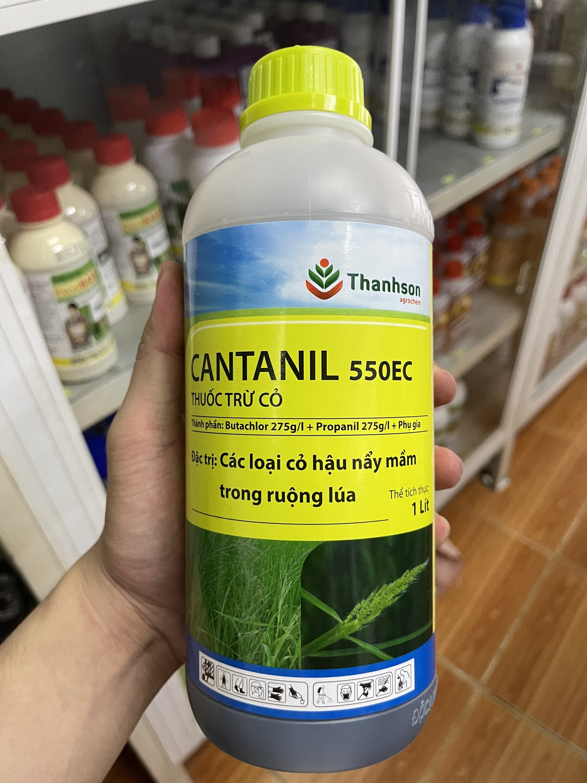 Trừ cỏ cantanil : phòng ngừa các loại cỏ hậu nảy mầm trong ruộng lúa