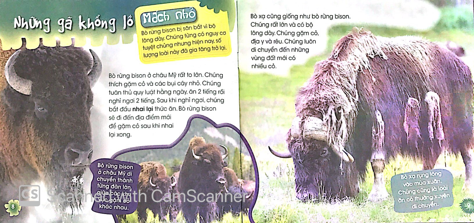 Độc Lạ Phi Thường - Loài Ăn Chay