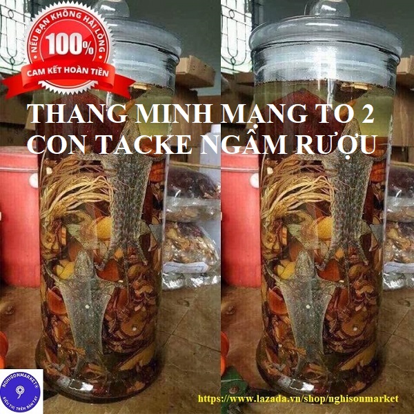 Delicious Wine-Soaked Dishes That Are Good for the Kidneys (Combo: Thang Minh Mang Large 2 Take and 1 Ounce Cao)