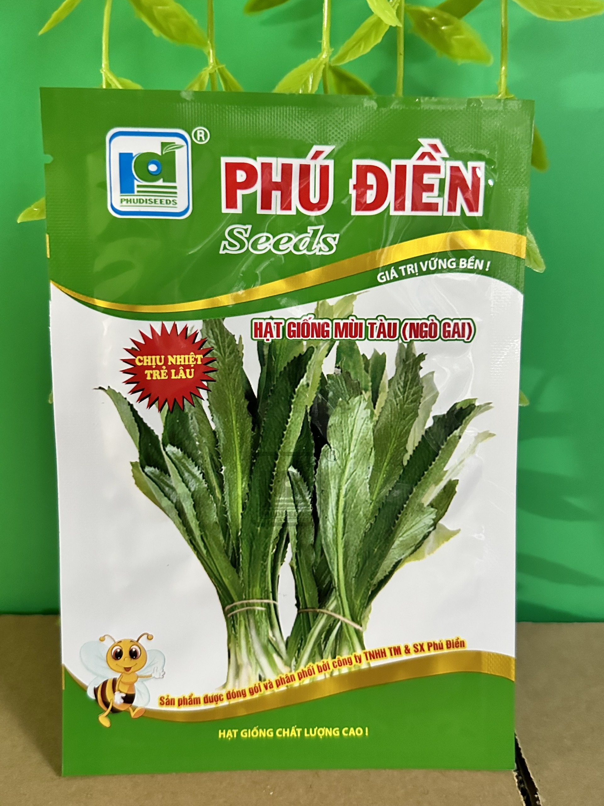 Hạt giống mùi tàu ( Ngò gai)