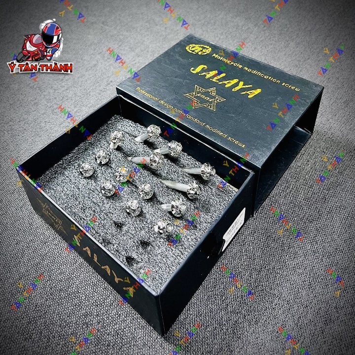 Bộ Ốc Lốc Máy Salaya Vision 2017 14 Con