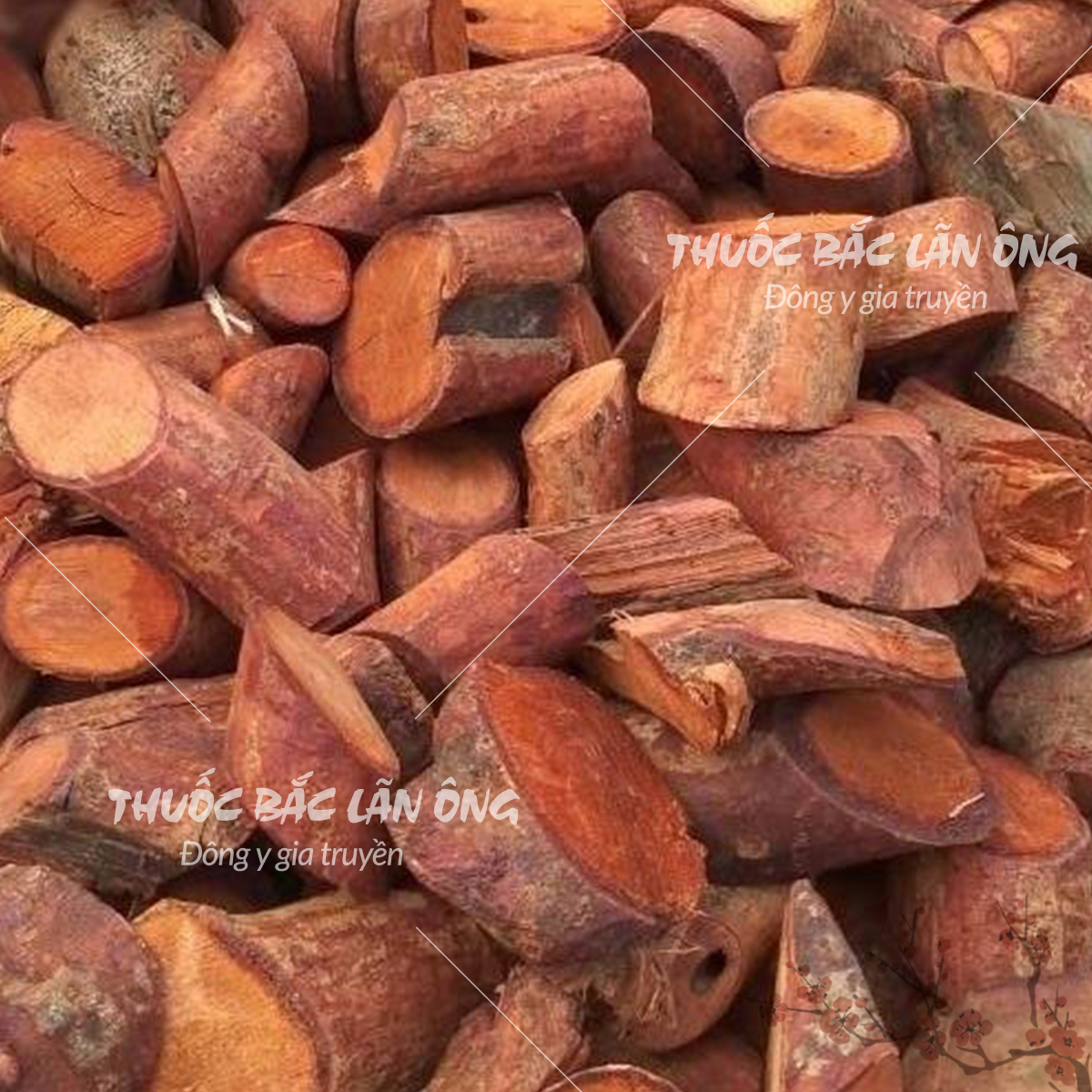 Mú từn 500g, rễ cây mú tửn khô, thơm, sạch, hỗ trợ bổ thận tráng dương, tăng cường sinh lý, mạnh gân cốt