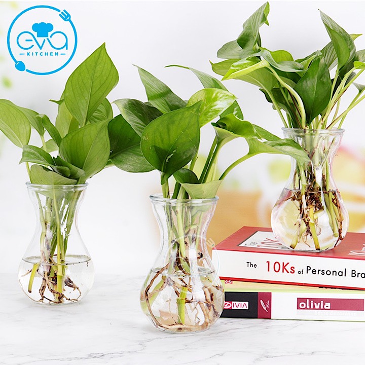 [HCM]Combo 5 Bình Bông Lọ Hoa Thủy Tinh Miệng Loe Tặng Kèm Dây Bố Trang Trí