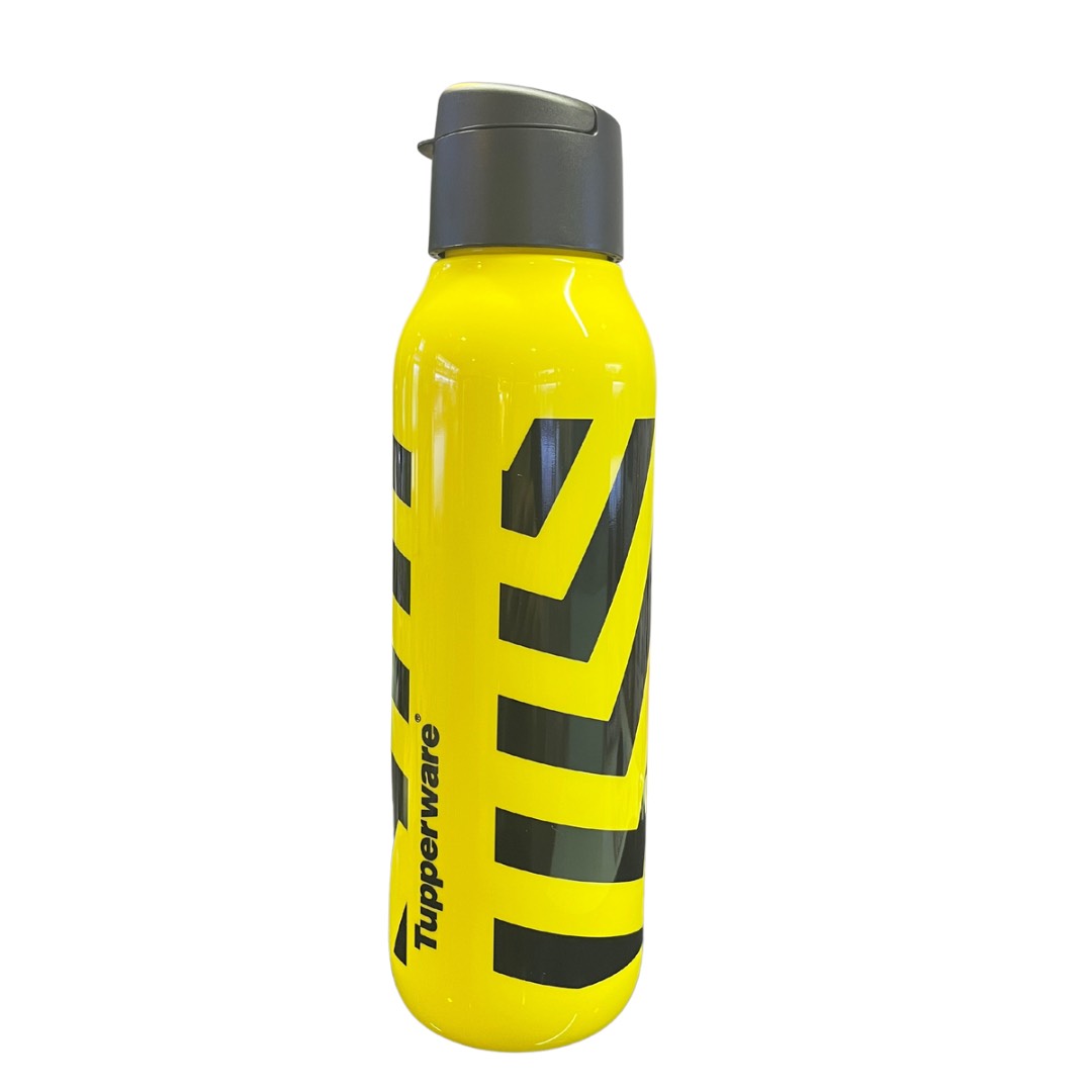 Bình nước ECO BOTTLE FANCY 750ml