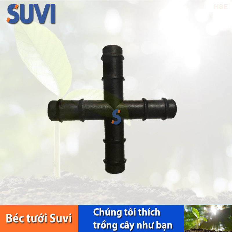 Chữ thập 10 ly pom bb nc thập 10