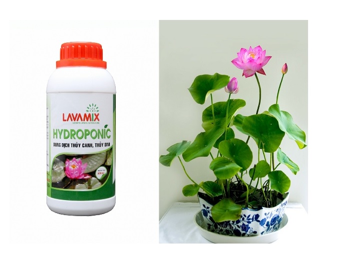 DUNG DỊCH THỦY CANH, THỦY SINH HYDROPONIC CHAI 100ML
