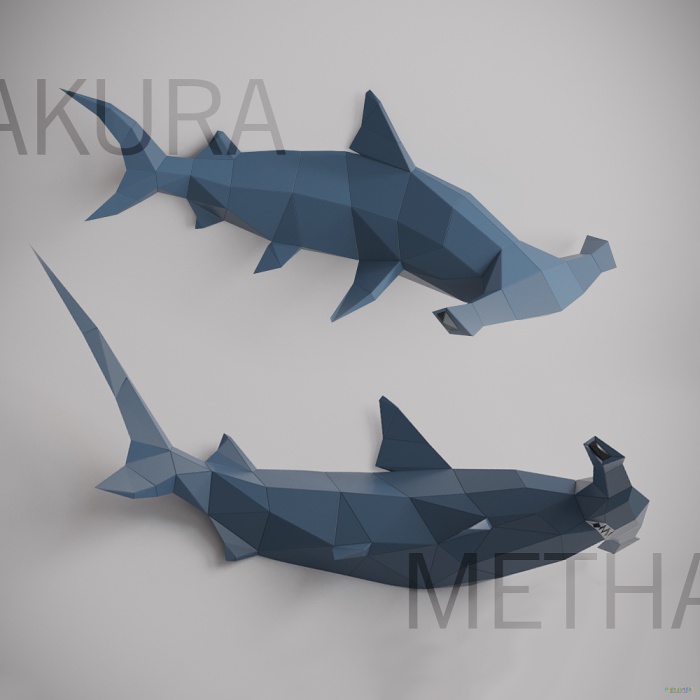Mô hình giấy 3D treo tường Cá mập