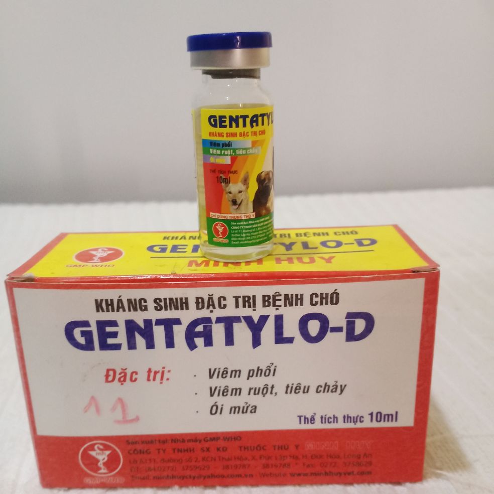 MH Genta Tylo D (10ml) (KS Chó, mèo)