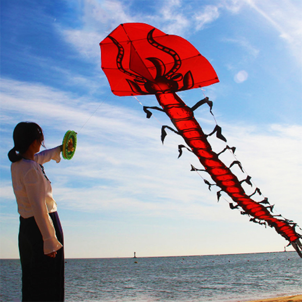 DIỀU HÌNH RẾT