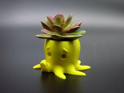 Chậu cây bạch tuộc siêu dễ thương - Cute Octopus planter