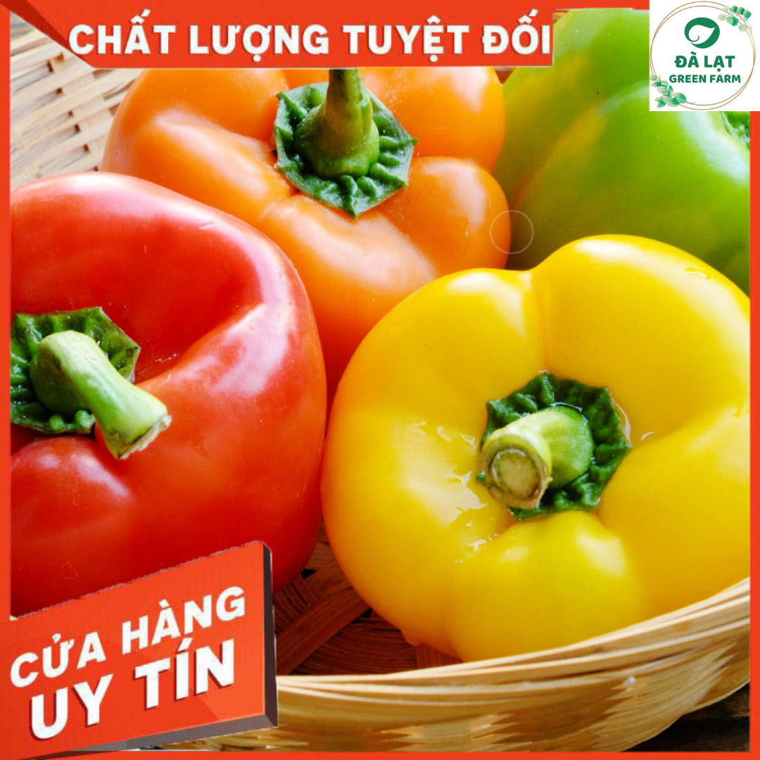 40H_HẠT GIỐNG ỚT CHUÔNG NHIỀU MÀU (NẢY MẦM CỰC CHUẨN)