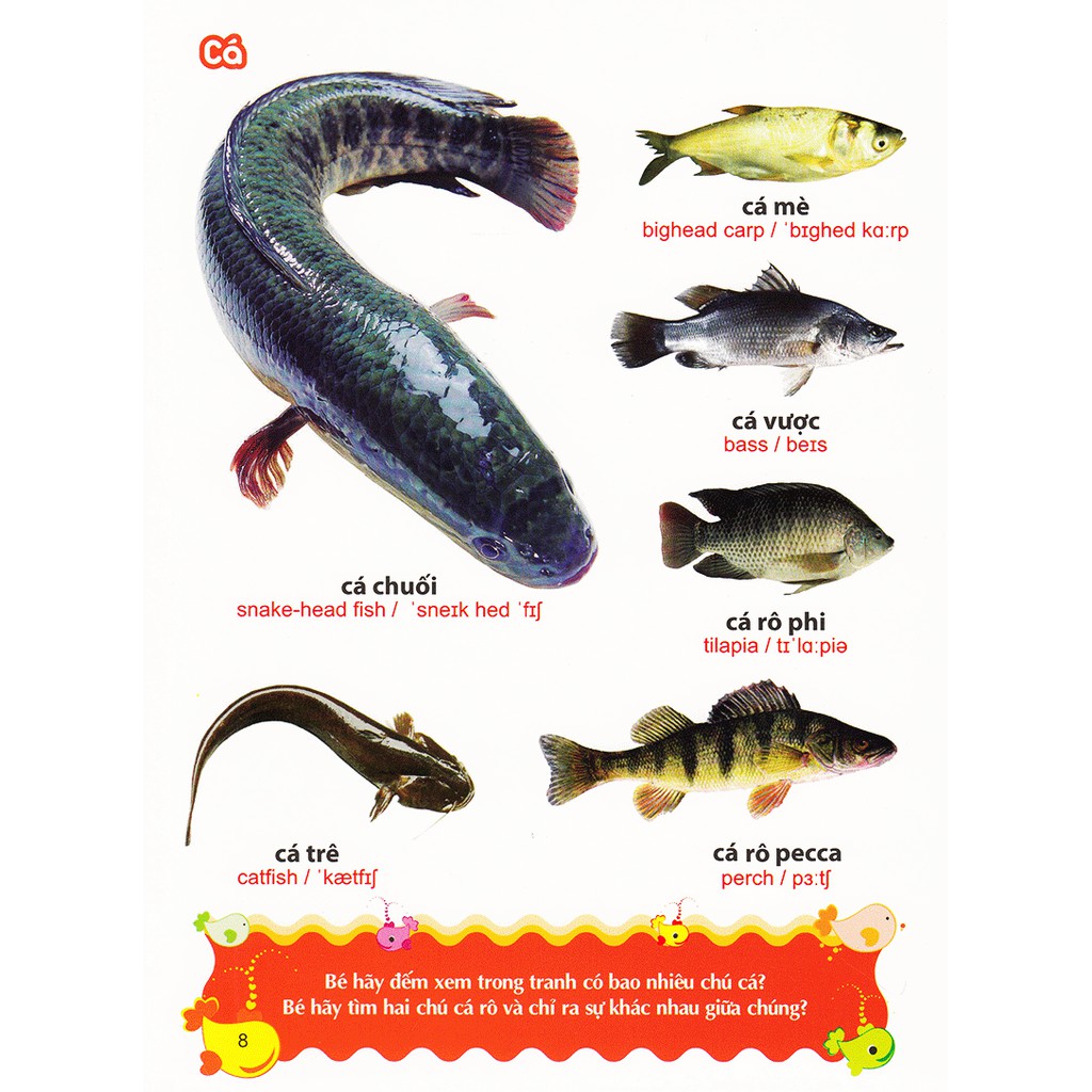 Sách- Từ Điển Tranh Về Các Con Vật (ML)