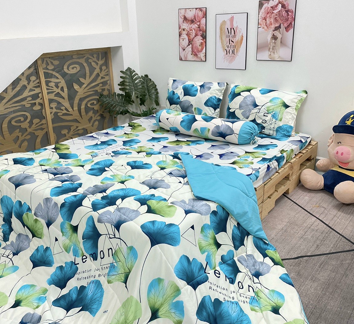 Bộ chăn drap gối thun Hàn Quốc