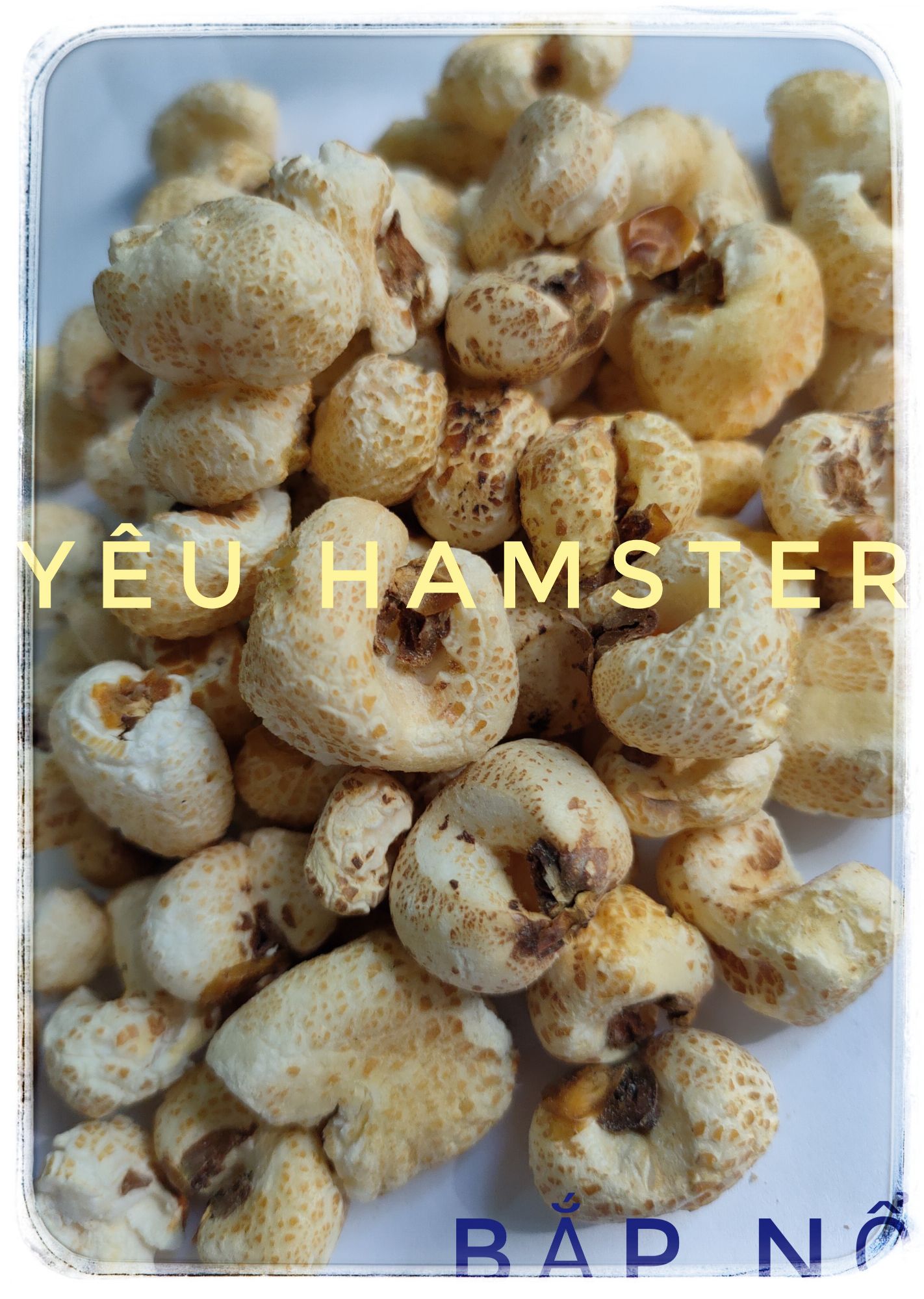 Bắp nổ- thức ăn cho hamster,thú cưng (50gr)