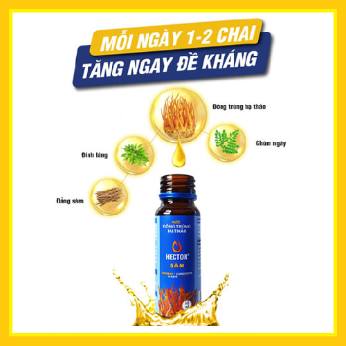 Nước đông trùng hạ thảo Hector sâm (Hộp 10 chai x 50ml)