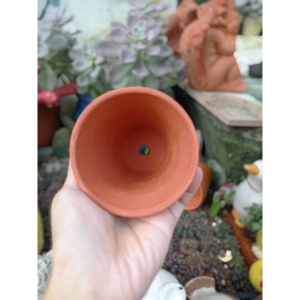 Chậu đất nung Bình Dương ly gờ miệng 10 x cao 10