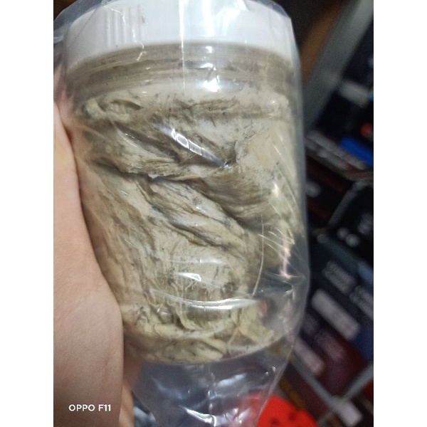 Mồi Thuốc Câu Cá Lăng - Mồi Thúi .