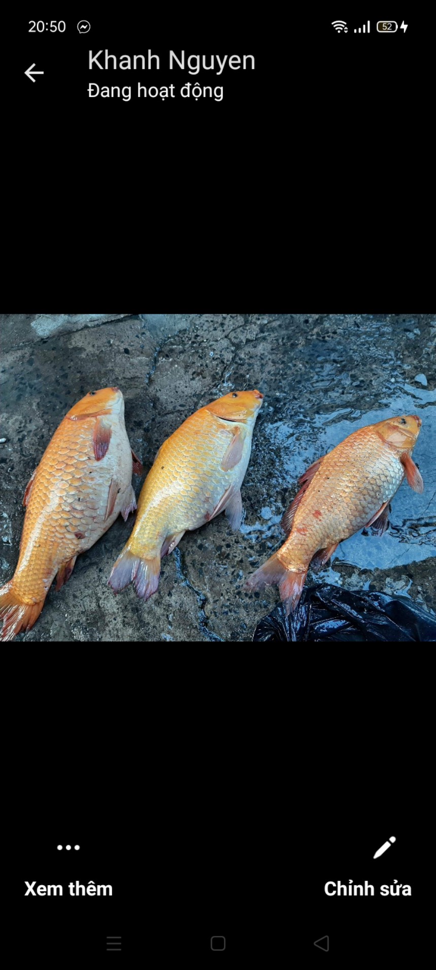 1KG MỒI CHÉP-MỒI CHUYÊN CHÉP-1KG/GÓI
