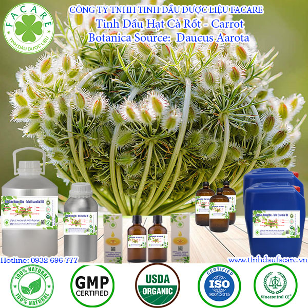 Tinh Dầu Hạt Cà Rốt Carrot seed essential oil - 10ml