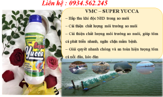 [ HÓA CHẤT THỦY SẢN ] - Hấp thụ khí độc NH3 trong ao nuôi tôm cá - SUPER YUCCA thumbnail