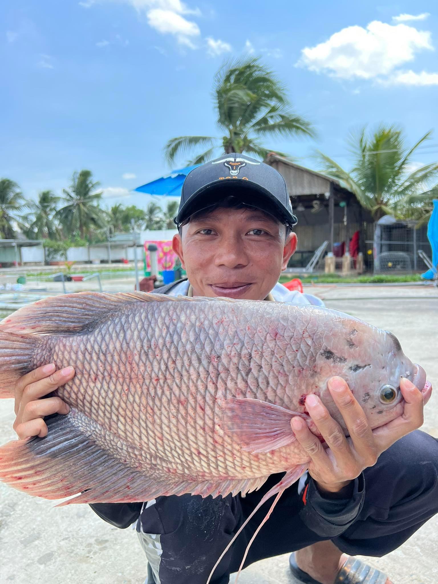Thính LK Hòa Câu Cá Tổng Hợp - DUYFISHING