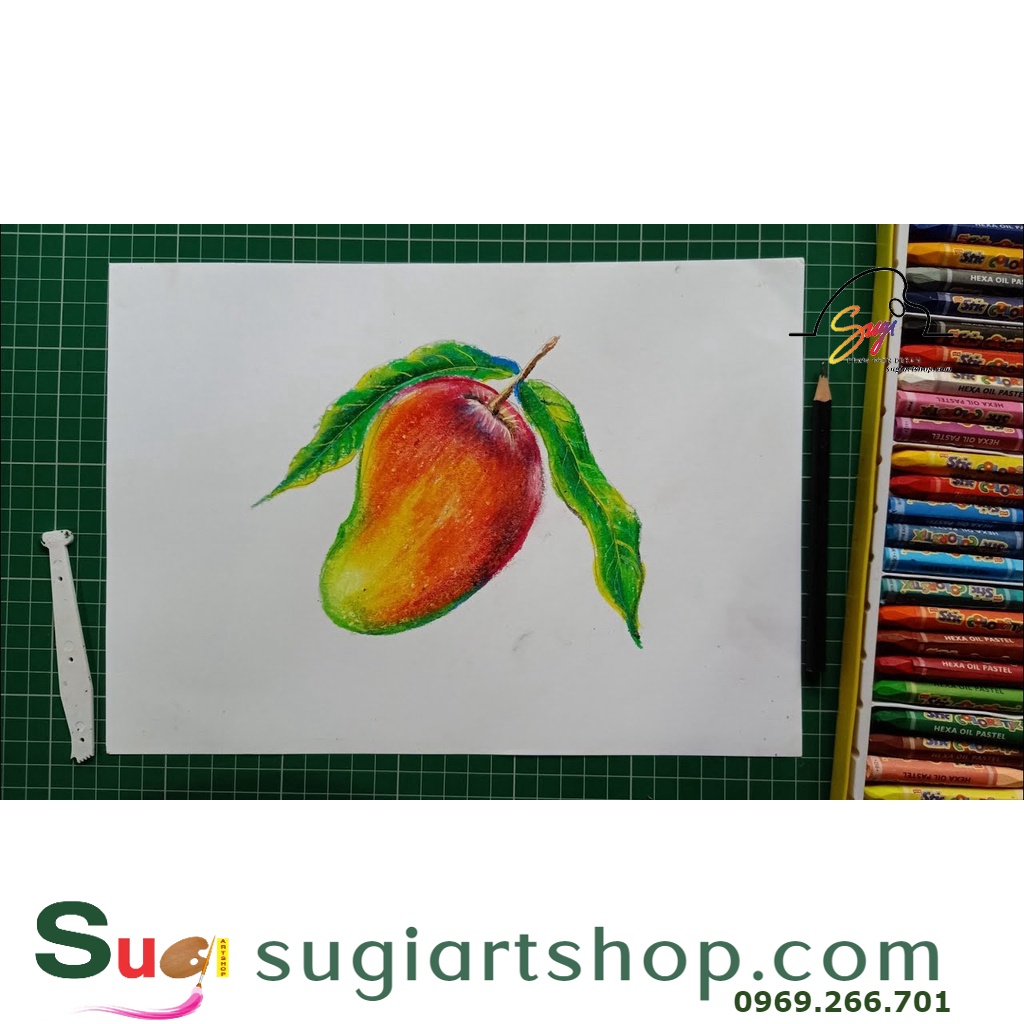 Bút Sáp Dầu Mango 18/24 Màu, Mango Oil Pastels