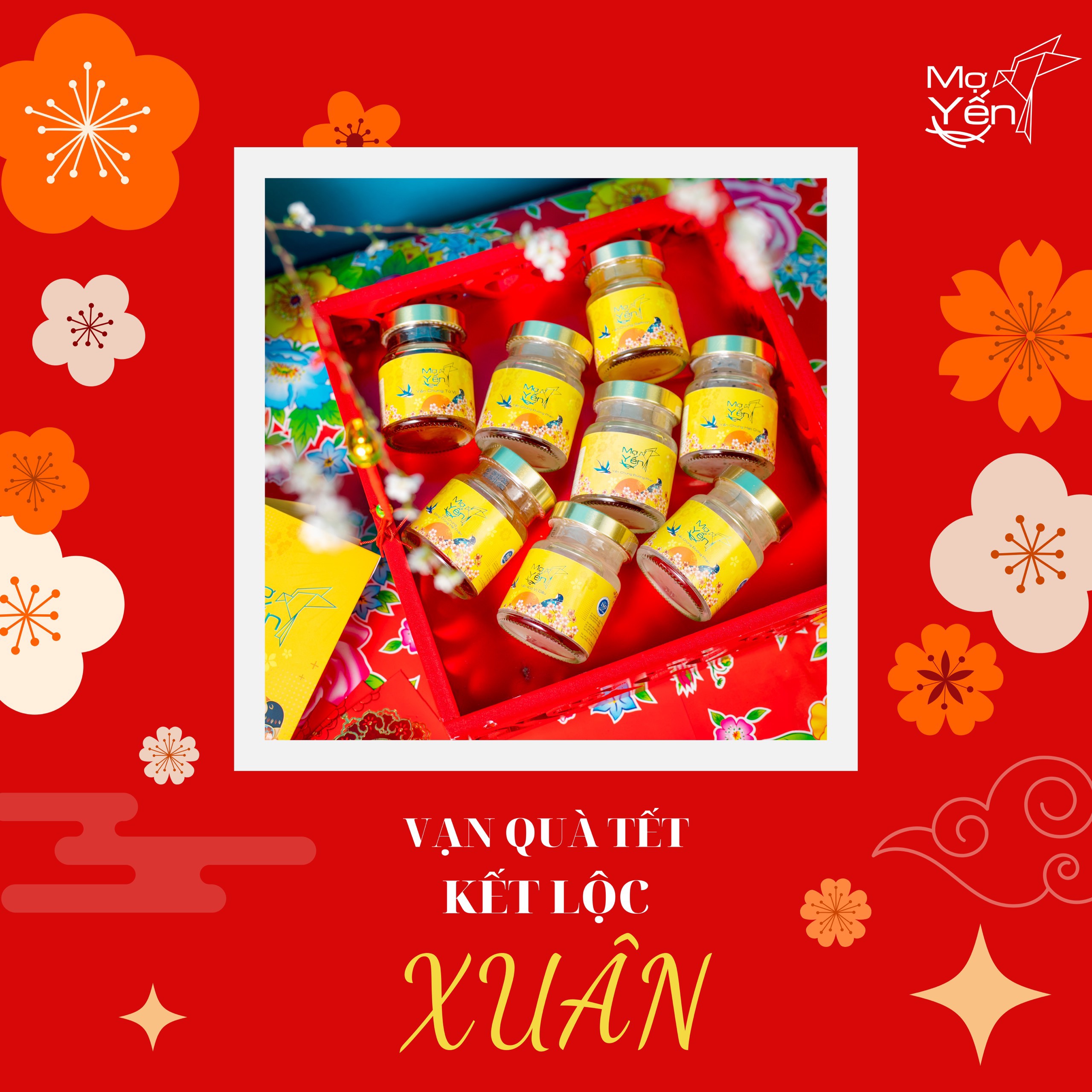 Set 10 hủ yến sào đủ vị (yến chưng)