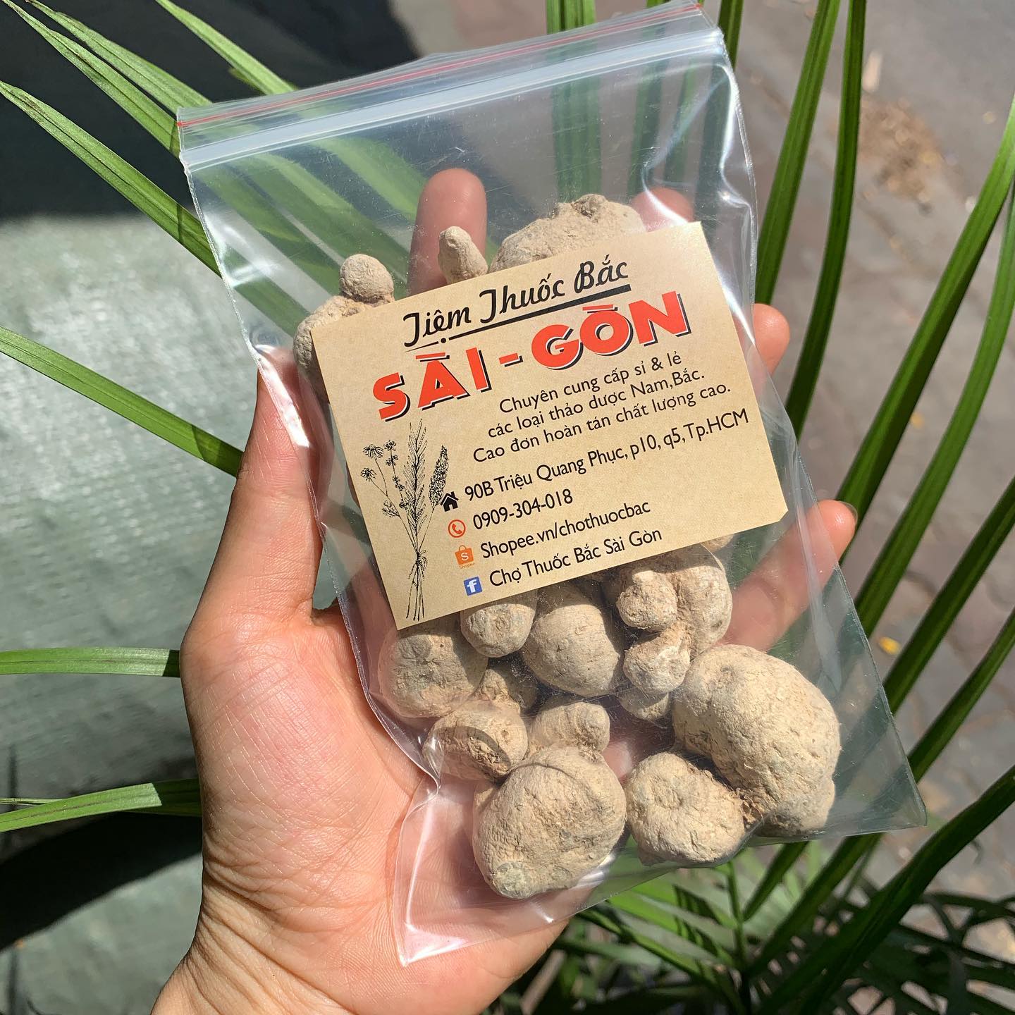 [HCM]TAM THẤT NAM CỦ 100GRAM