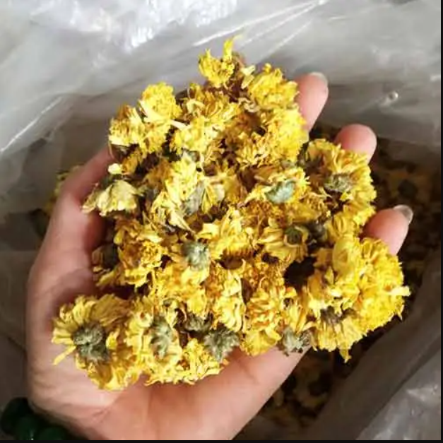Hoa Cúc Vàng Sấy Khô