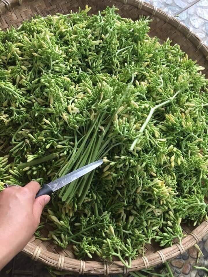 Hoa Đu Đủ Đực Sấy Khô
