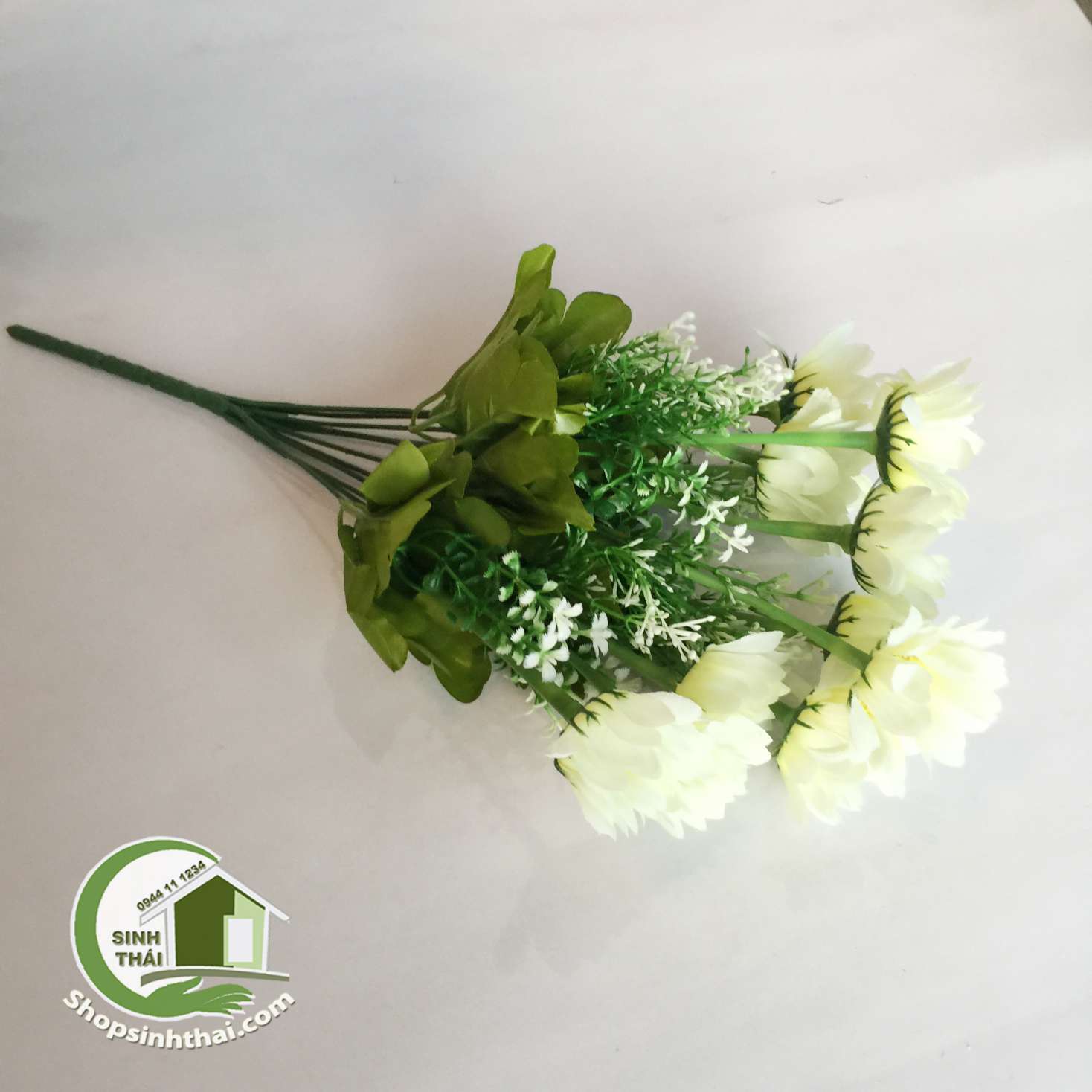 [HCM]Bụi hoa cúc thạch thảo màu trắng - bụi cao 38cm