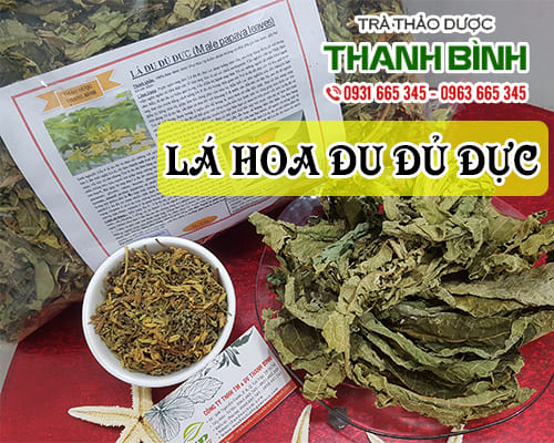 Lá đu đủ đực 1kg khô - dược liệu thanh bình