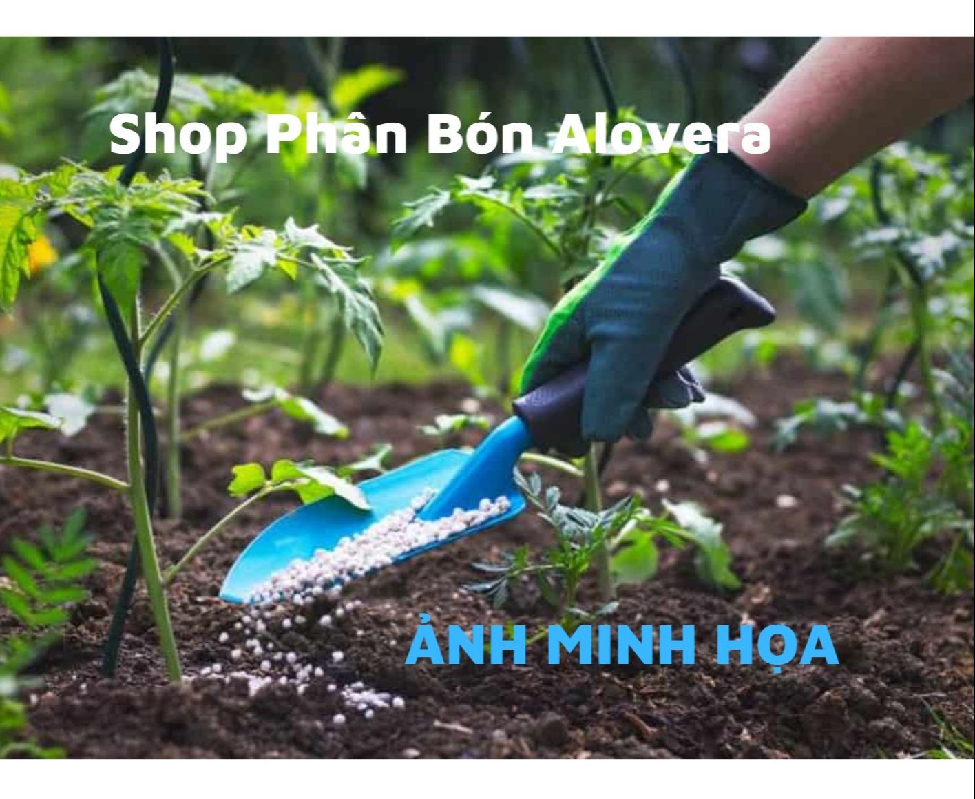 Phân DAP Cao Cấp Cho Mọi Cây Trồng Và Hoa Màu(1KG )