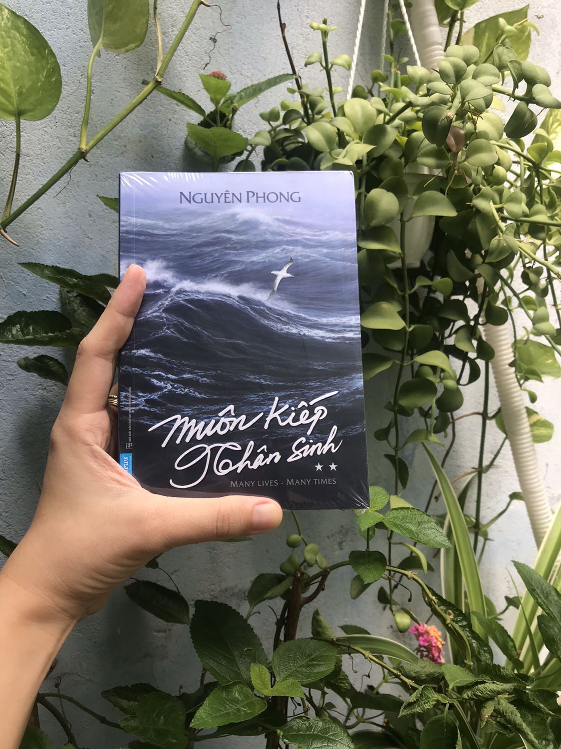 Sách - Muôn Kiếp Nhân Sinh Tập 2 (Khổ Nhỏ) (FN)