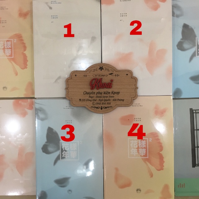 Album BTS Hoa Dạng Niên Hoa Pt1 Pt2