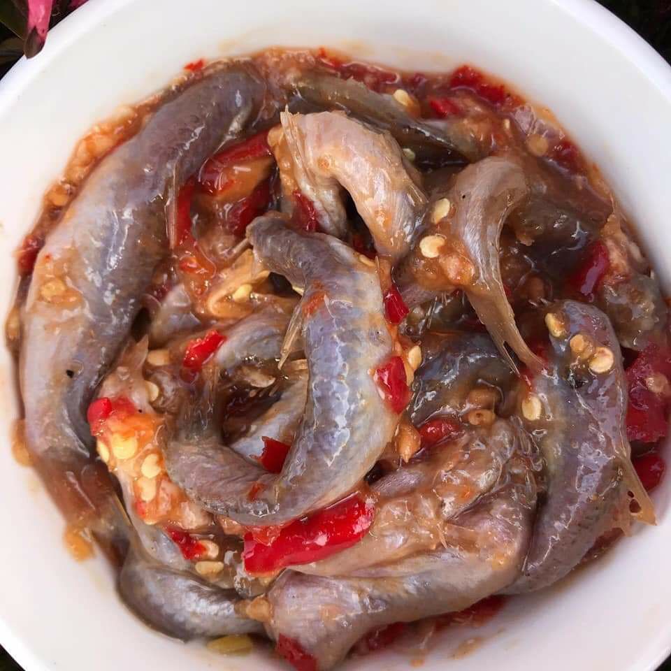 Mắm cá linh 500gr