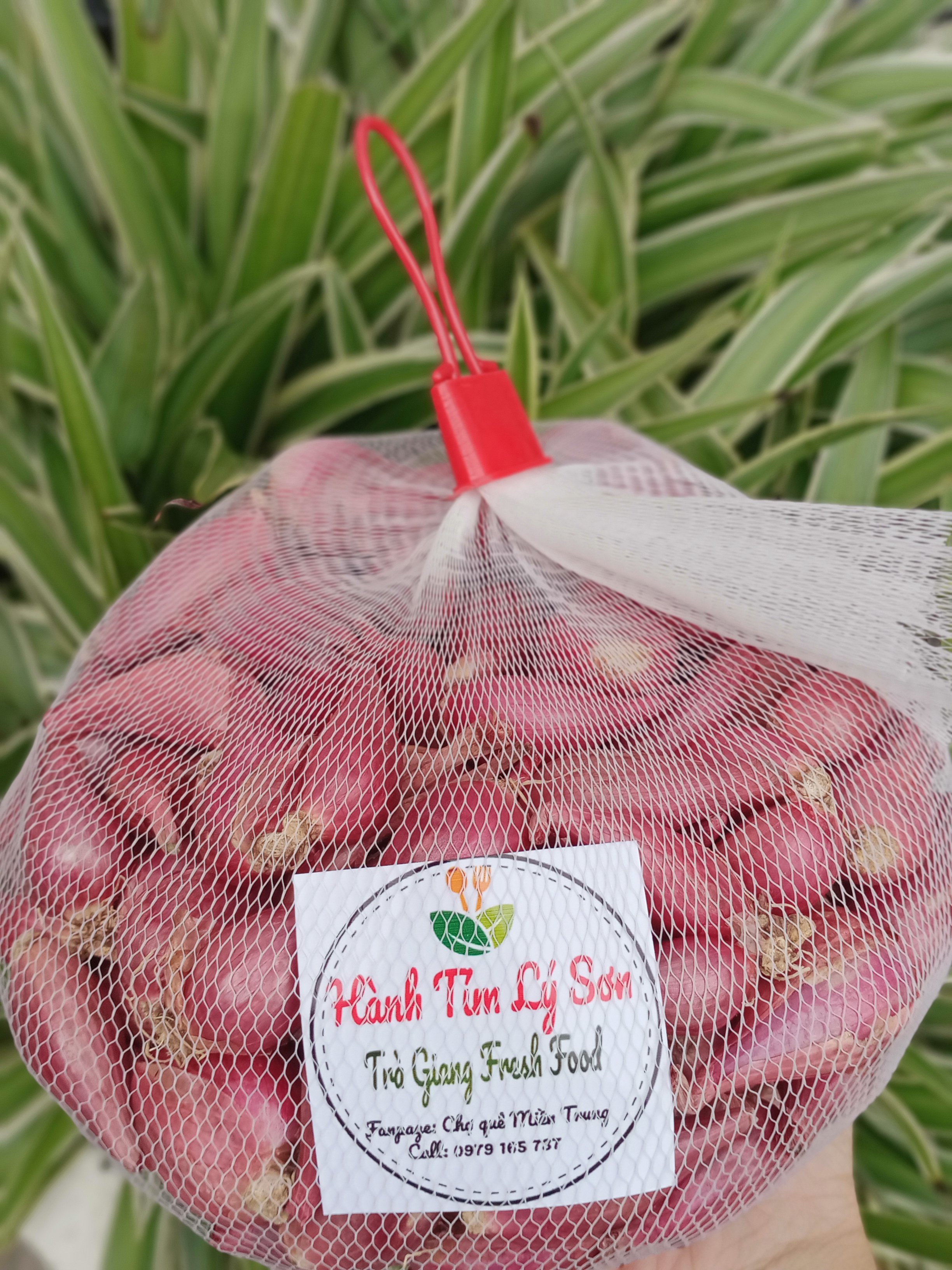 [Chính gốc] Loại 1 Hành tím Lý Sơn - 1kg
