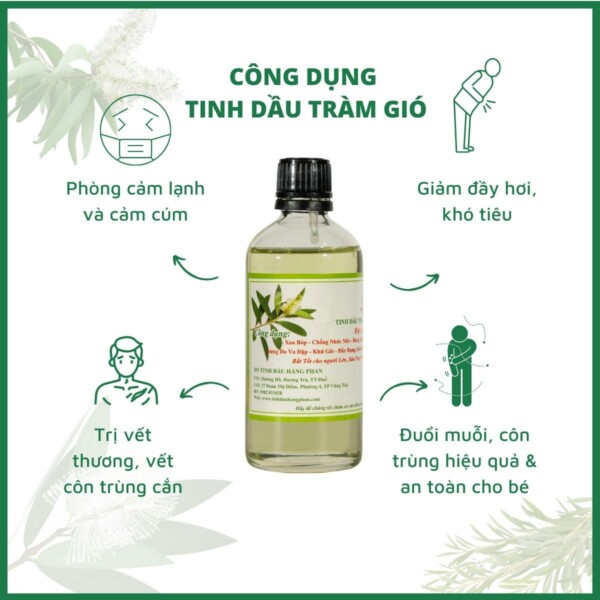 TINH DẦU TRÀM GIÓ - ĐẶC SẢN XỨ HUẾ