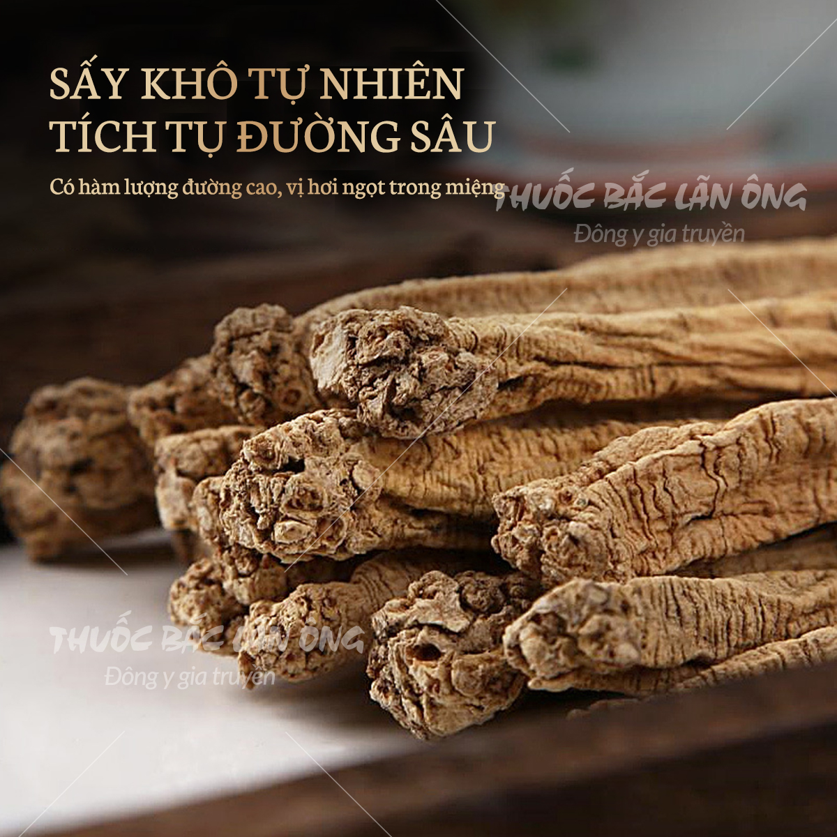 Phòng đẳng sâm 100g, cọng to, thơm, già - Lãn Ông