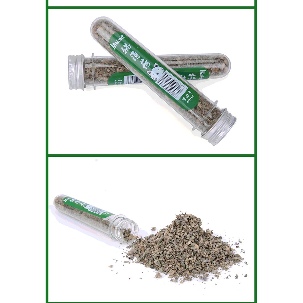 Catnip Cỏ MèO Lá BạC Hà Khô Cho MèO