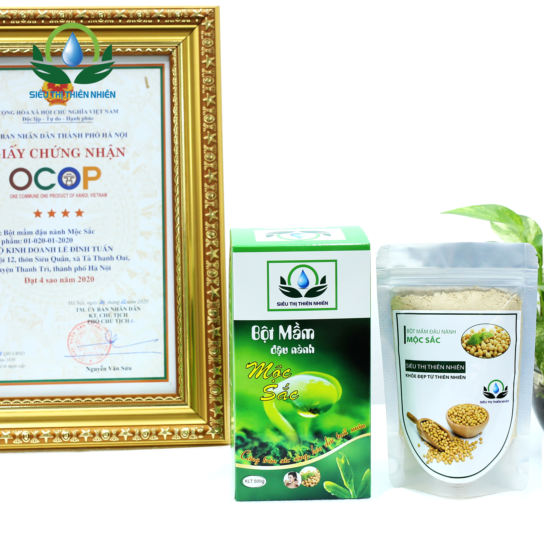 Bột mầm đậu nành Mộc Sắc hộp 500g