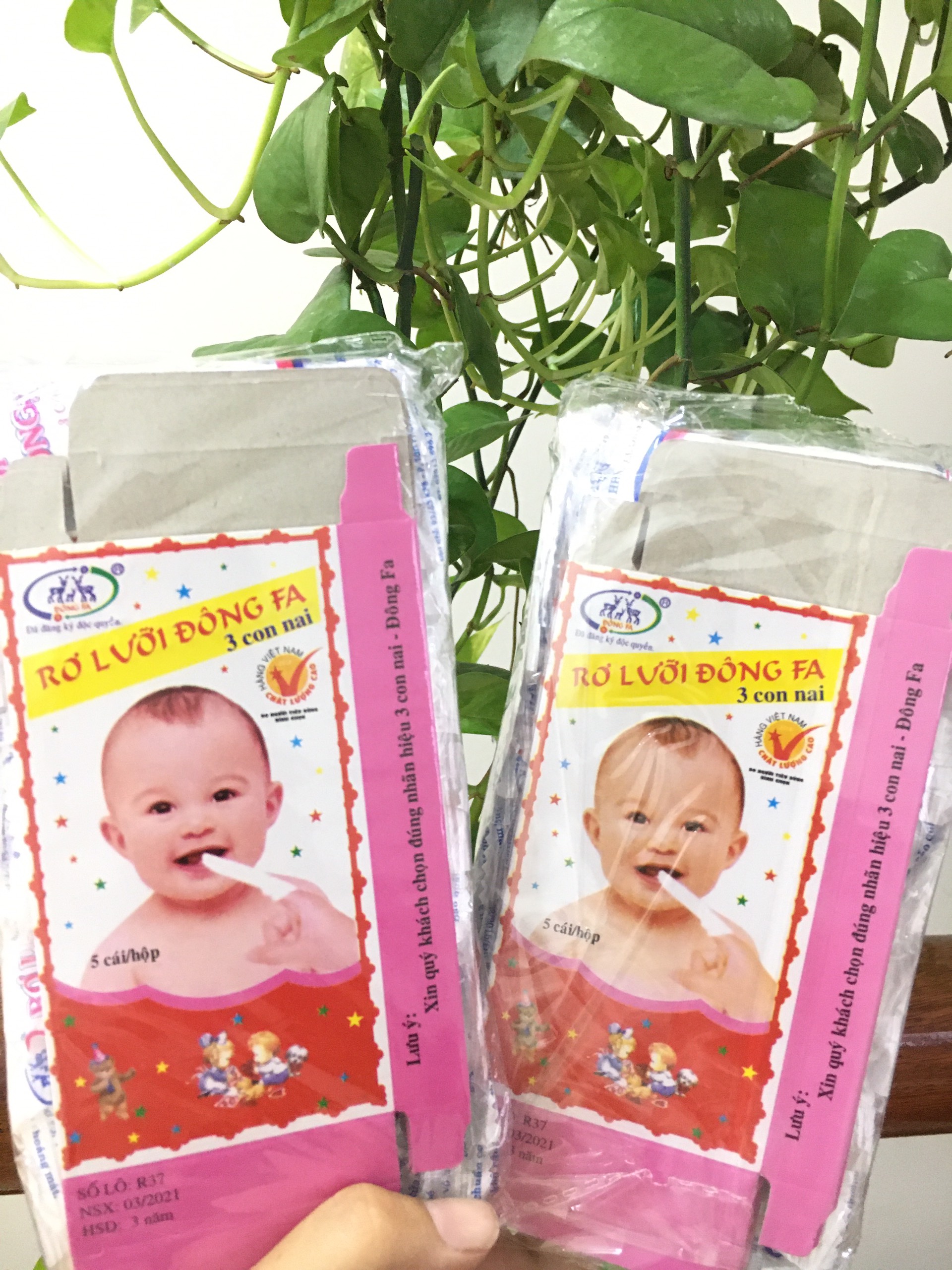 Rơ Lưỡi Đông Pha Vệ Sinh Miệng Cho Bé ( Combo 5-10 hộp)