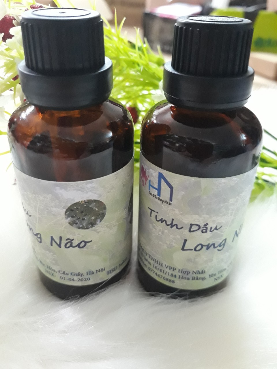 Tinh dầu Long Não nguyên chất Lọ 50ml