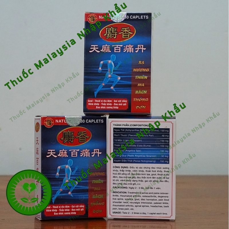 Xạ hương thiên ma bách thống đơn hộp xanh - hộp 30 viên hỗ trợ xương khớp