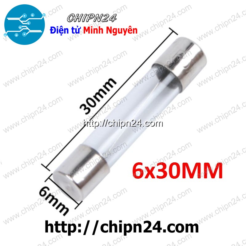 Cầu chì ống thủy tinh 6x30mm -