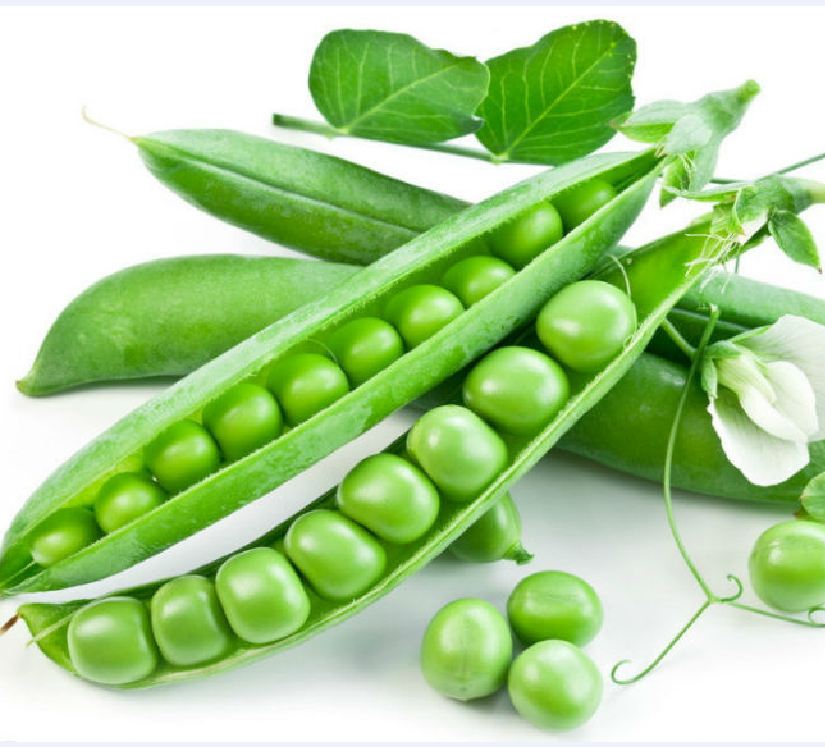 Hạt giống đậu hà lan ( Lấy hạt ) - Gói 20gram