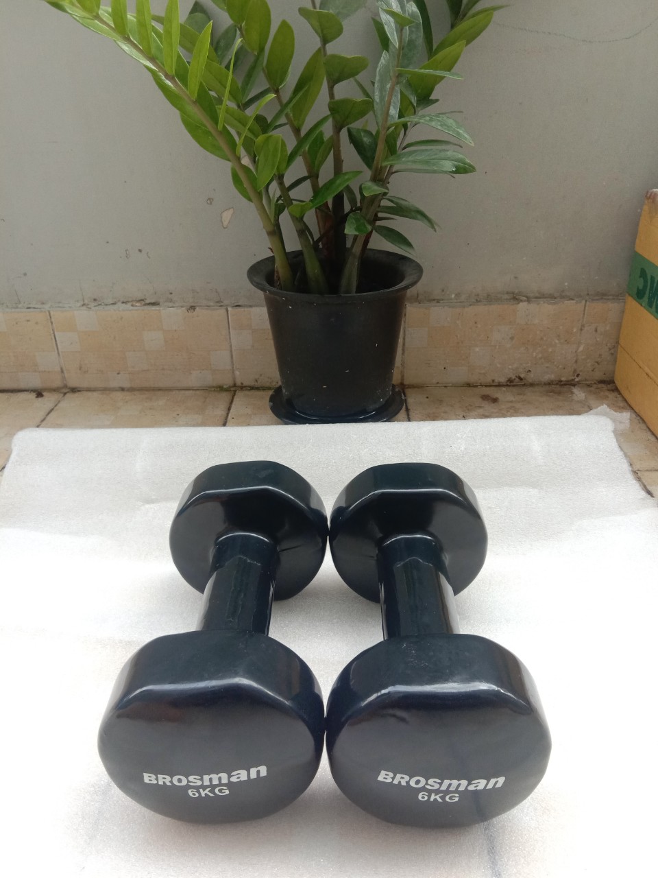 Tạ tay 6kg Brosman nhập khẩu (Bộ 2 cái tạ sắt 6kg màu đen)