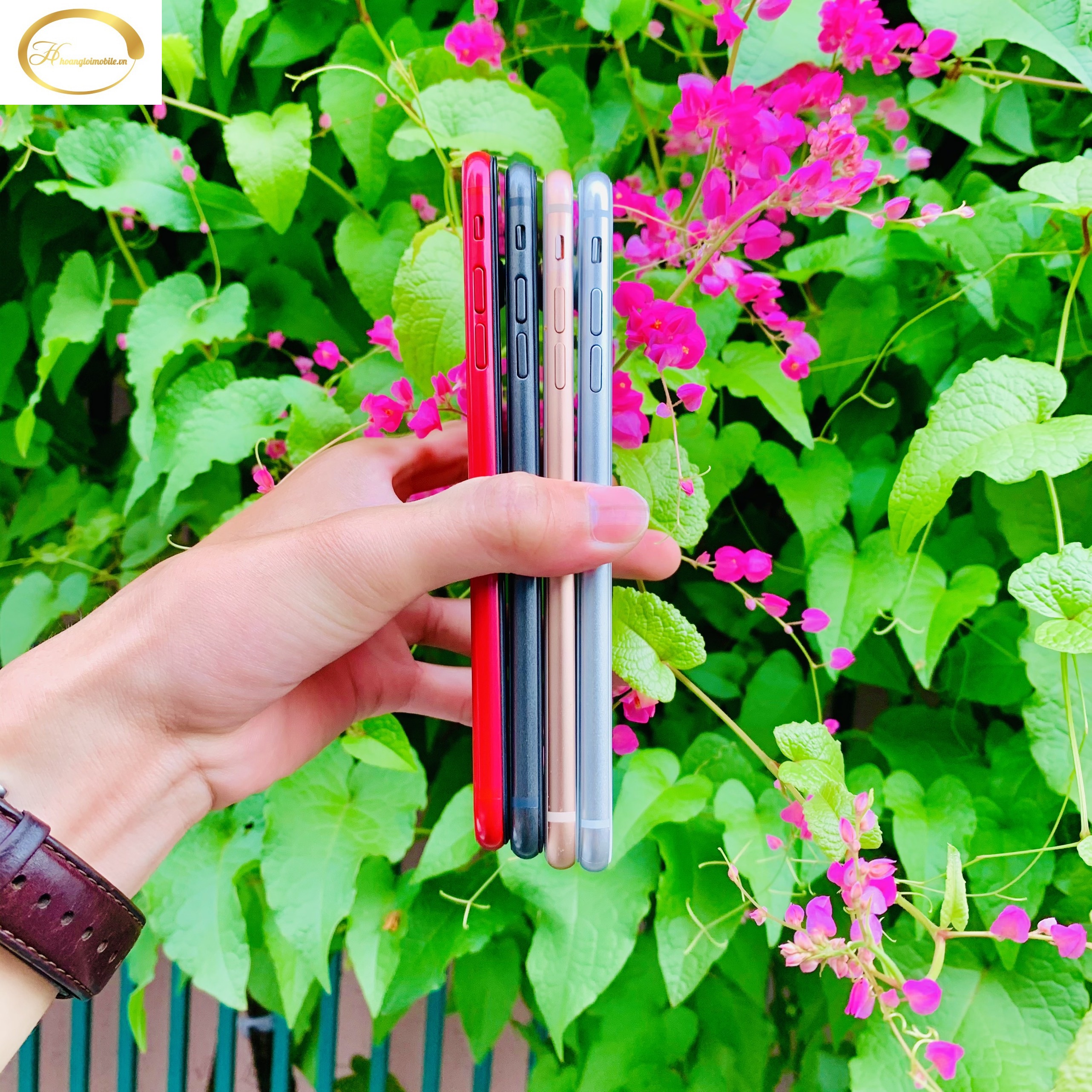 Mô hình trưng bày i.p 8Plus đủ màu cực đẹp