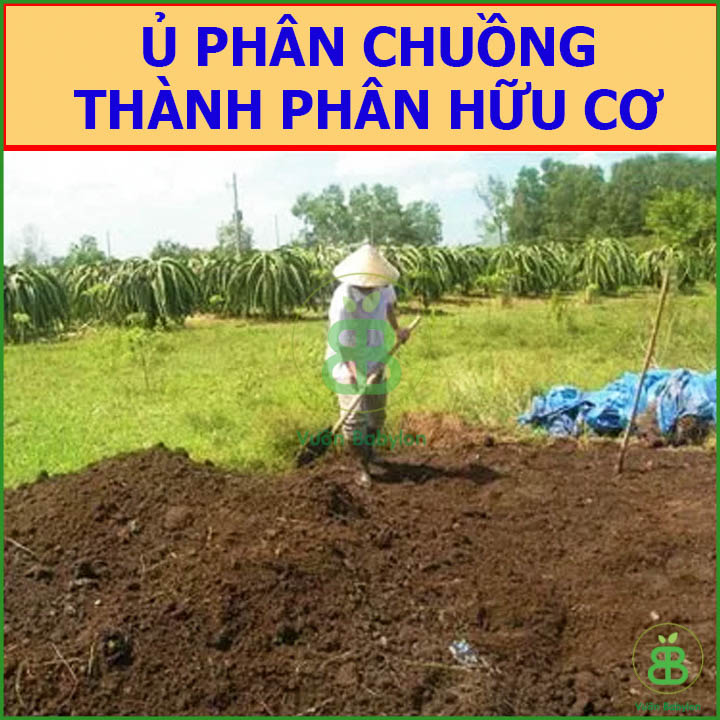 Nấm Đối Kháng Trichoderma Điền Trang Gói 1KG