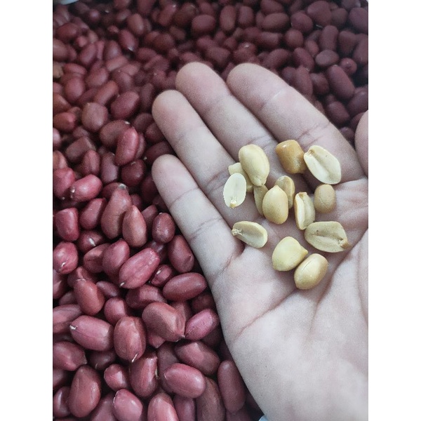 [HCM]Lạc đỏ/ đậu phộng đỏ - 250gr - lạc sống